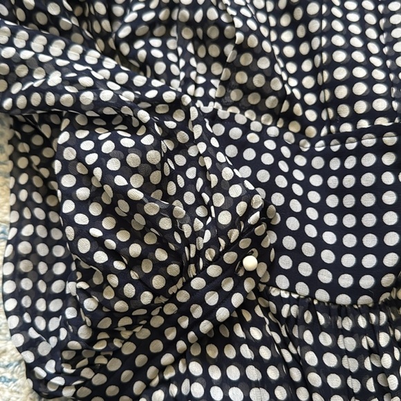 Vintage 80s Albert Nipon 100% silk polkadot pleated semi sheer dress 12 - Picture 5 of 10